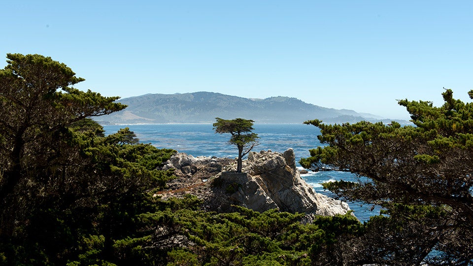 17-Mile Drive - Monterey, California