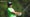 416418725_4836541184001_rickie-fowler-masters-round-1-1280.jpg