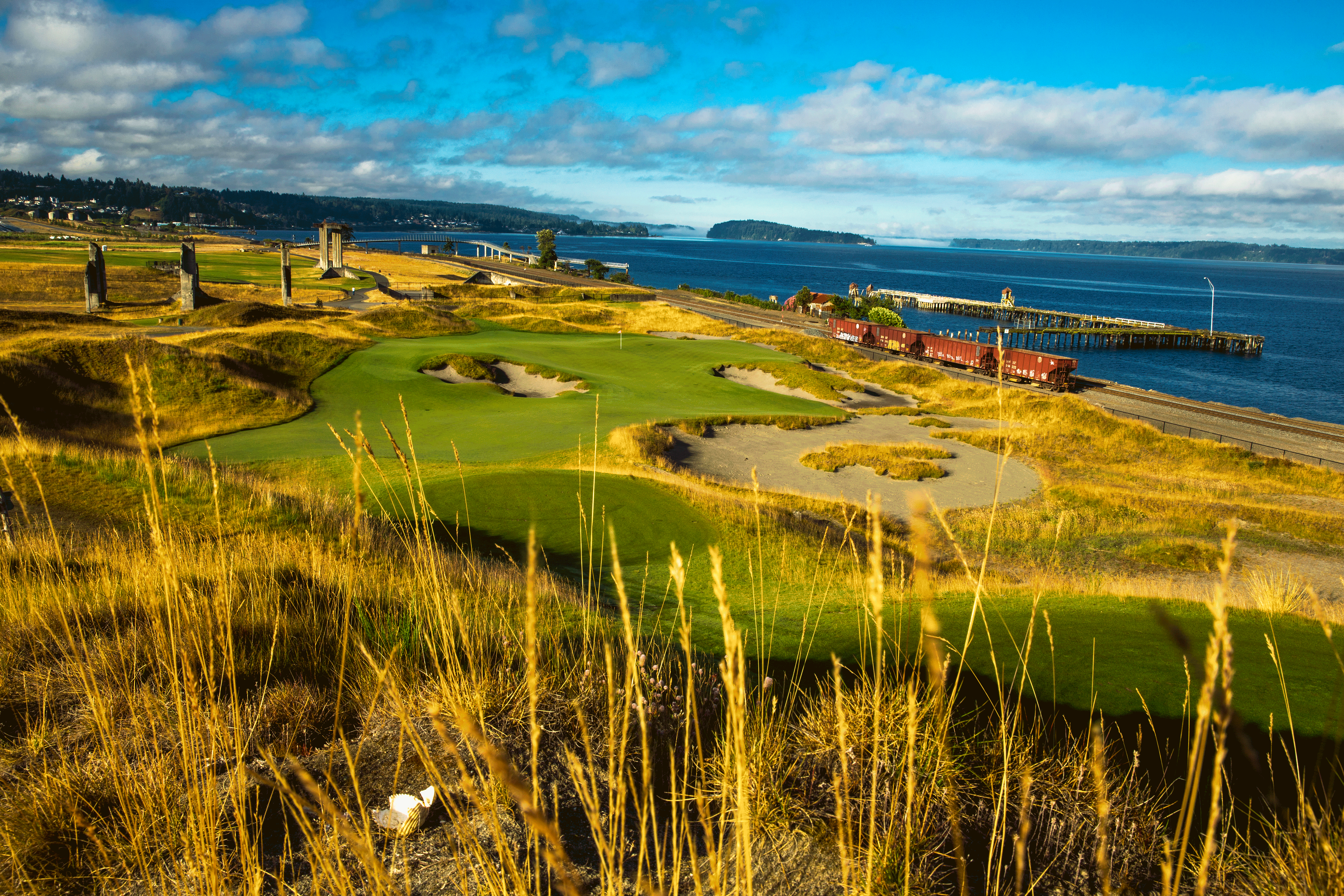 2015 open championship leaderboard