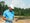 Tiger-at-bluejack3_0_0_0_0.jpg