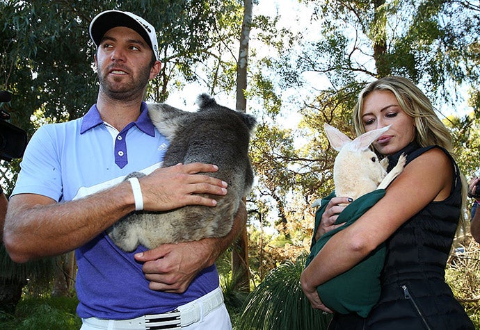 Golfers and Baby Animals: The Best Photos