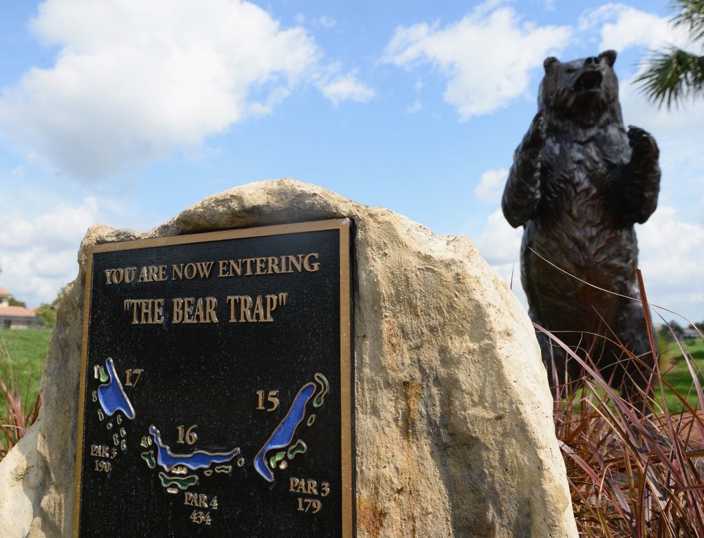 Who Invented The Bear Trap at Danielle Haugen blog