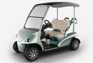 Here are 7 of the most tricked-out, expensive golf carts money can buy ...