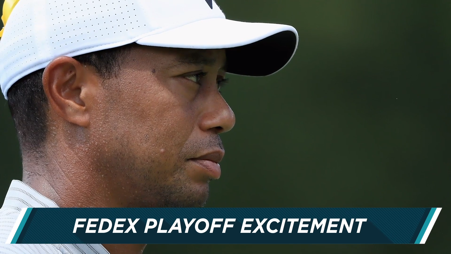 Most interesting storyline for FedEx Cup? Golf