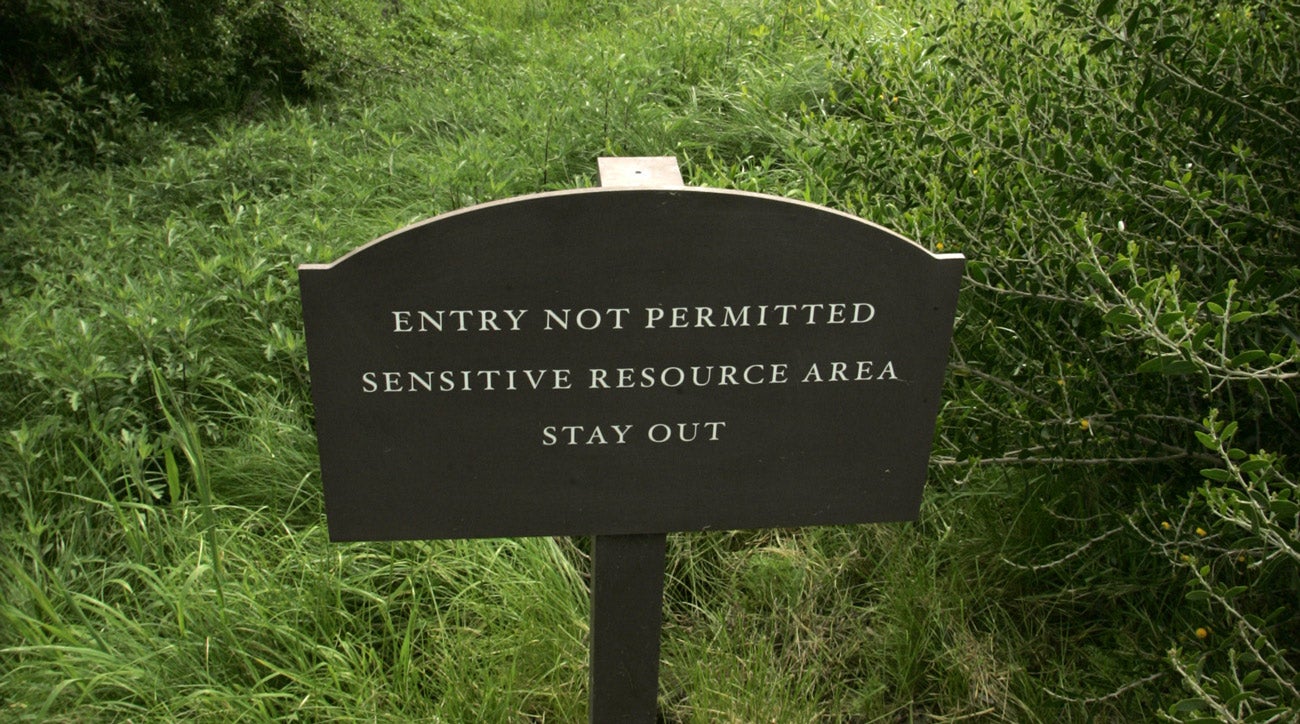 Rules My ball lands between yellow stakes and env. sensitive area. Can