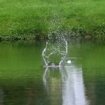 Golf ball water splash