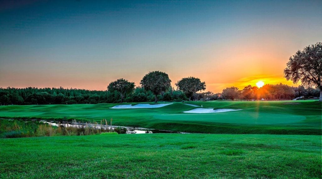 TPC Tampa Bay consists of natural wetlands, cypress heads, and lagoons.