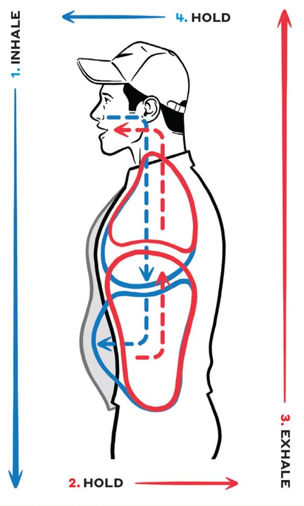 Box Breathing requires just four easy steps to follow by.