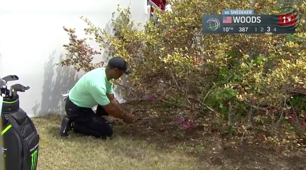 Tiger Woods pulled off one of the most memorable shots of his career at the WGC-Dell Match Play.