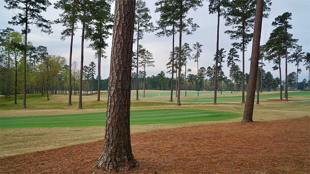 Champions Retreat has an Augusta National-like feel.