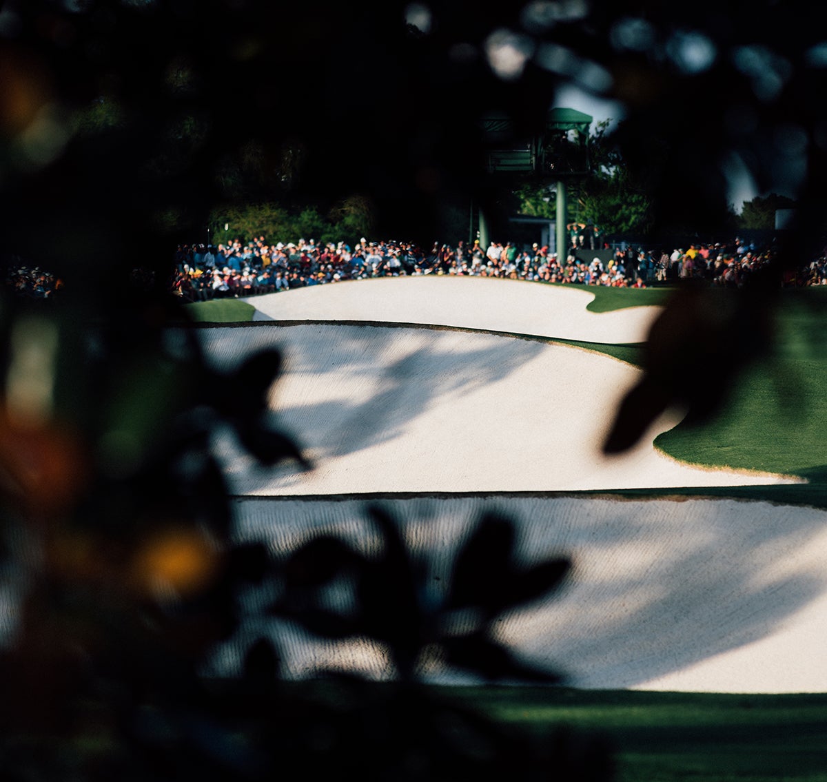 I loved using Augusta's trees to frame its holes and bunkers.