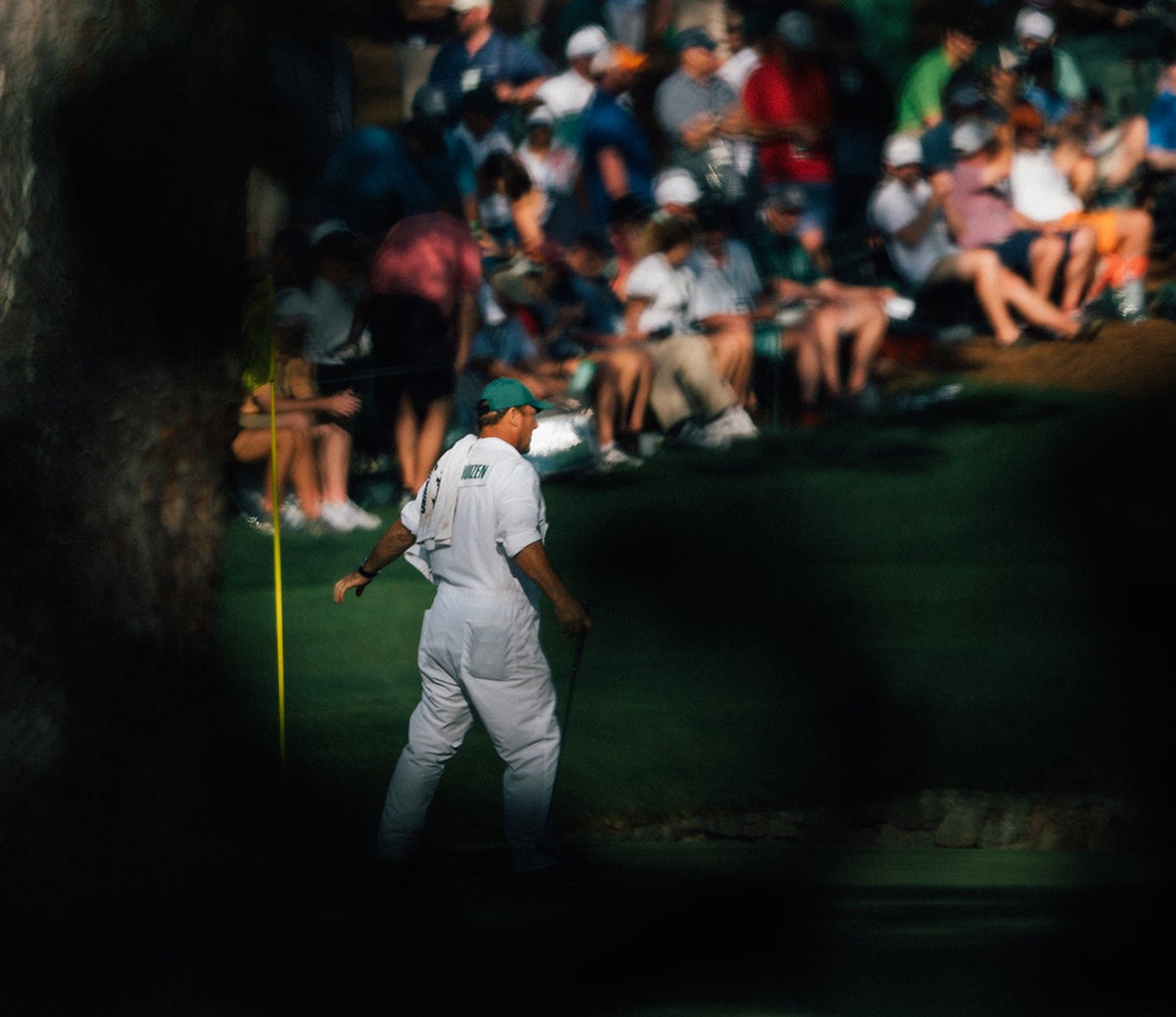 A caddie through the leaves.
