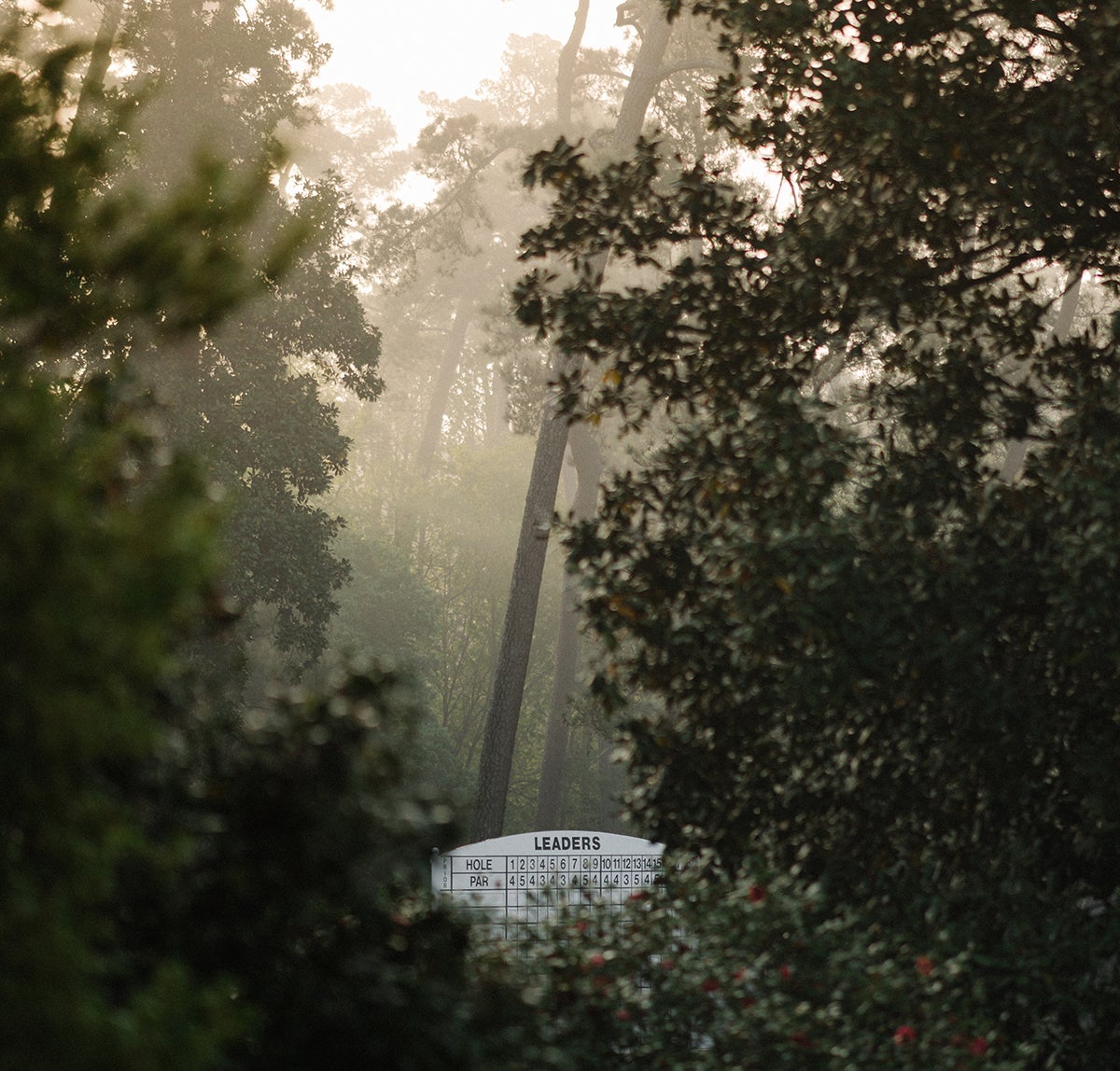 A blank leaderboard peeks through Augusta's flora.