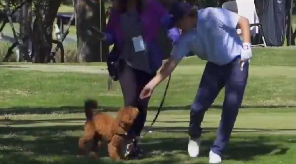 Zac Blair feeds his dog Teddy during the first round of the 2019 Dormie Network Classic.