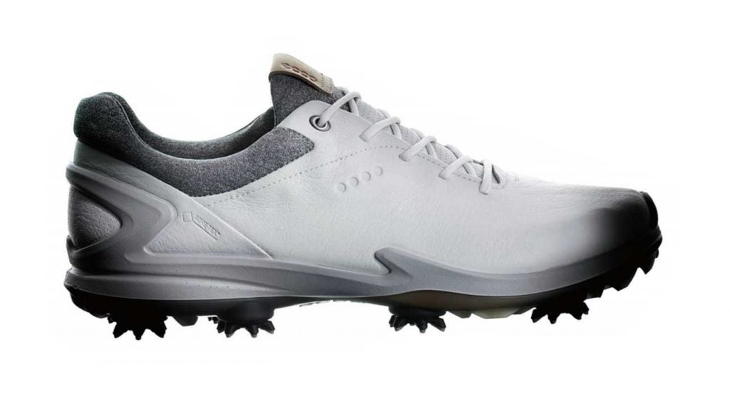 The Ecco Biom G3, $250.