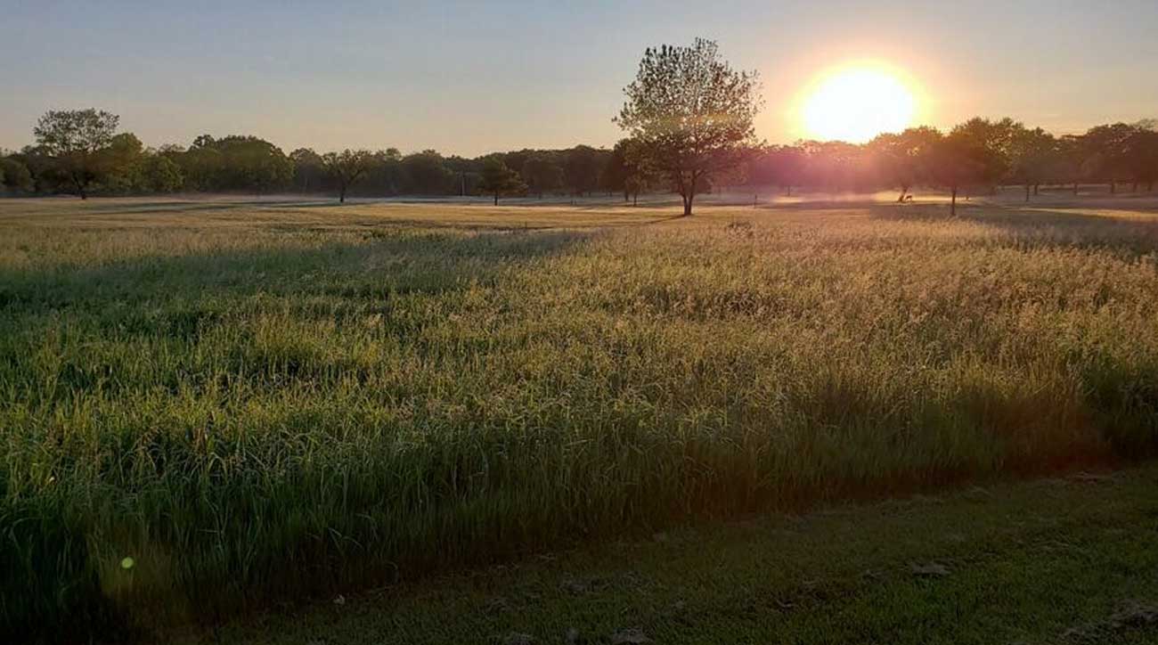 Rackham accounts for nearly half the revenue generated by Detroit's three public courses. It was established in 1923, and has withstood the test of time.