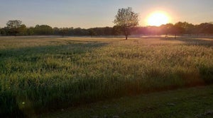 The sun sets over Rackham Golf Course