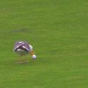 Seagull tries picks up Phil Mickelson's golf ball at 2019 U.S. Open