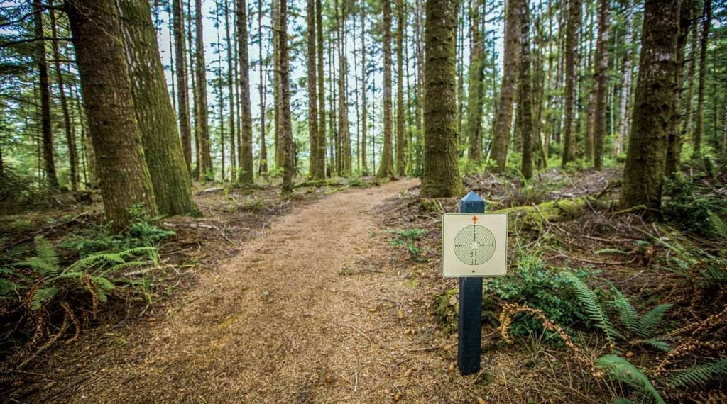 Bandon Dunes has more than golf. Walk this trail and find out.