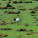 Golf ball and divots