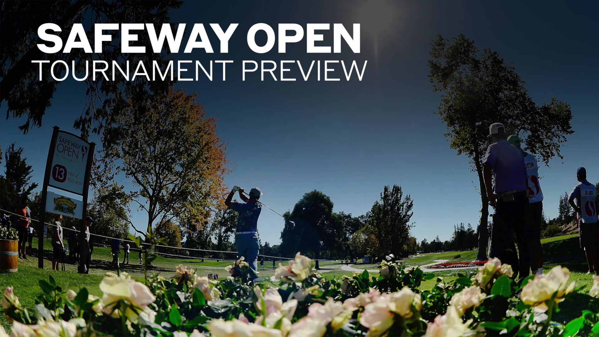 safeway open golf leaderboard