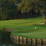 No. 16 at TPC Sawgrass ushers in one of golf's most famous finishing stretches.