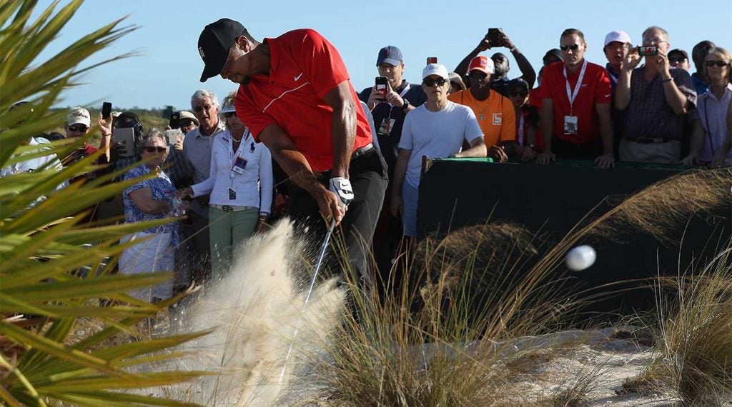 Tiger Woods hits out of a waste area during the 2016 Hero World Challenge.