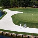 As annual host to the Players Championship, TPC Sawgrass is held in high regard by the Top 100 Panelists.