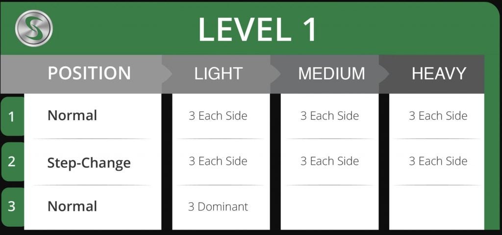 swing speed training system