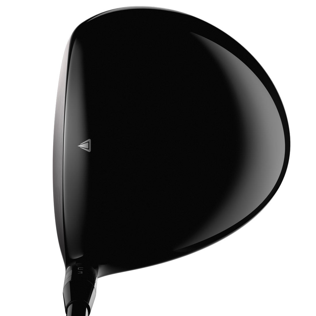 The Titleist TS2 driver at address.