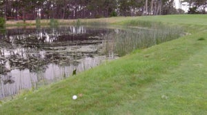 Golf ball in red penalty area