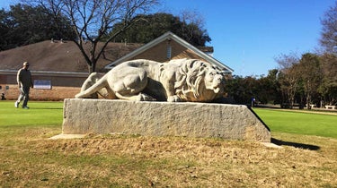 lions statue on putting green