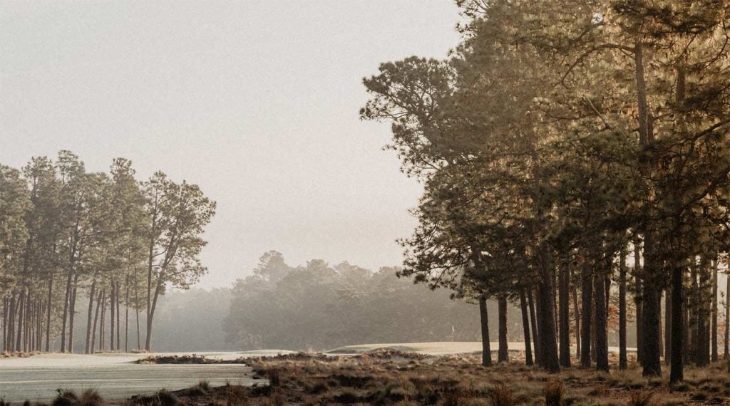 Pinehurst No. 2.