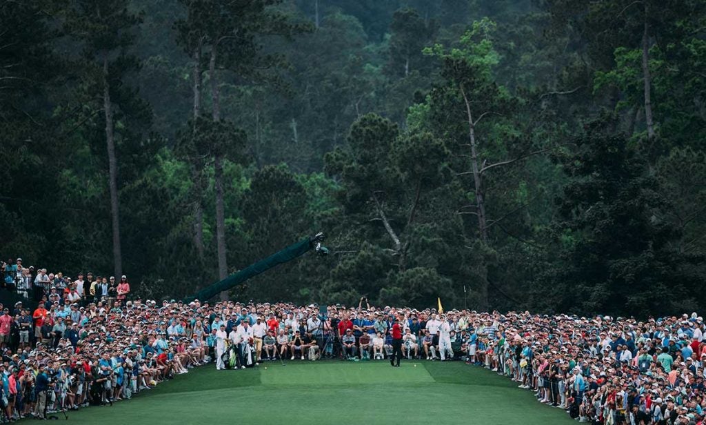 tiger woods tee shot crowd