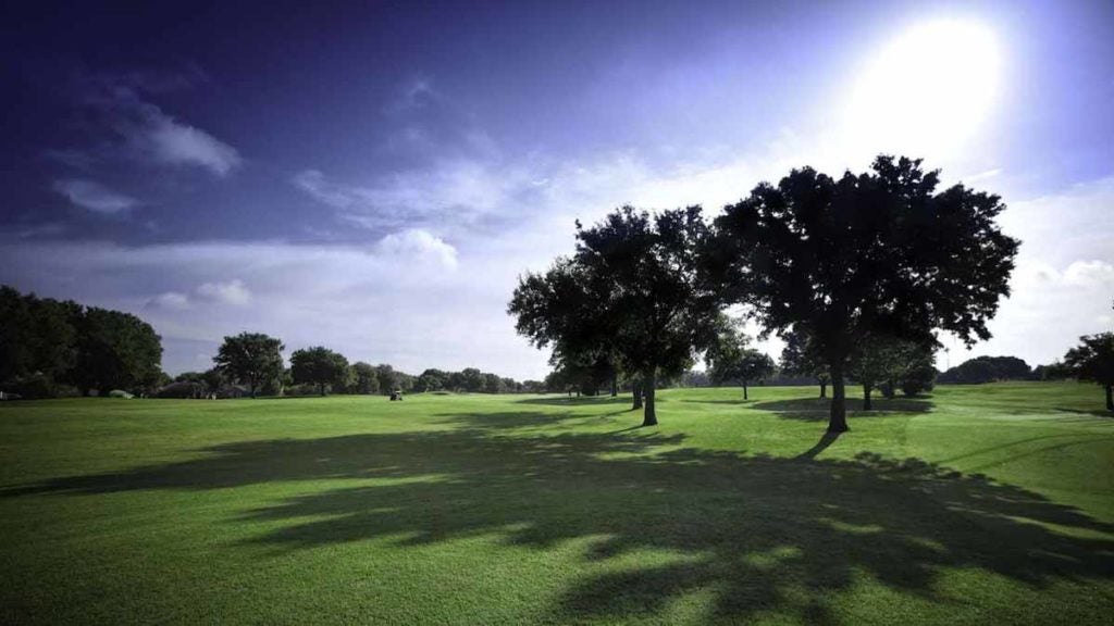 Backlit image of golf fields with beautiful summer landscapes