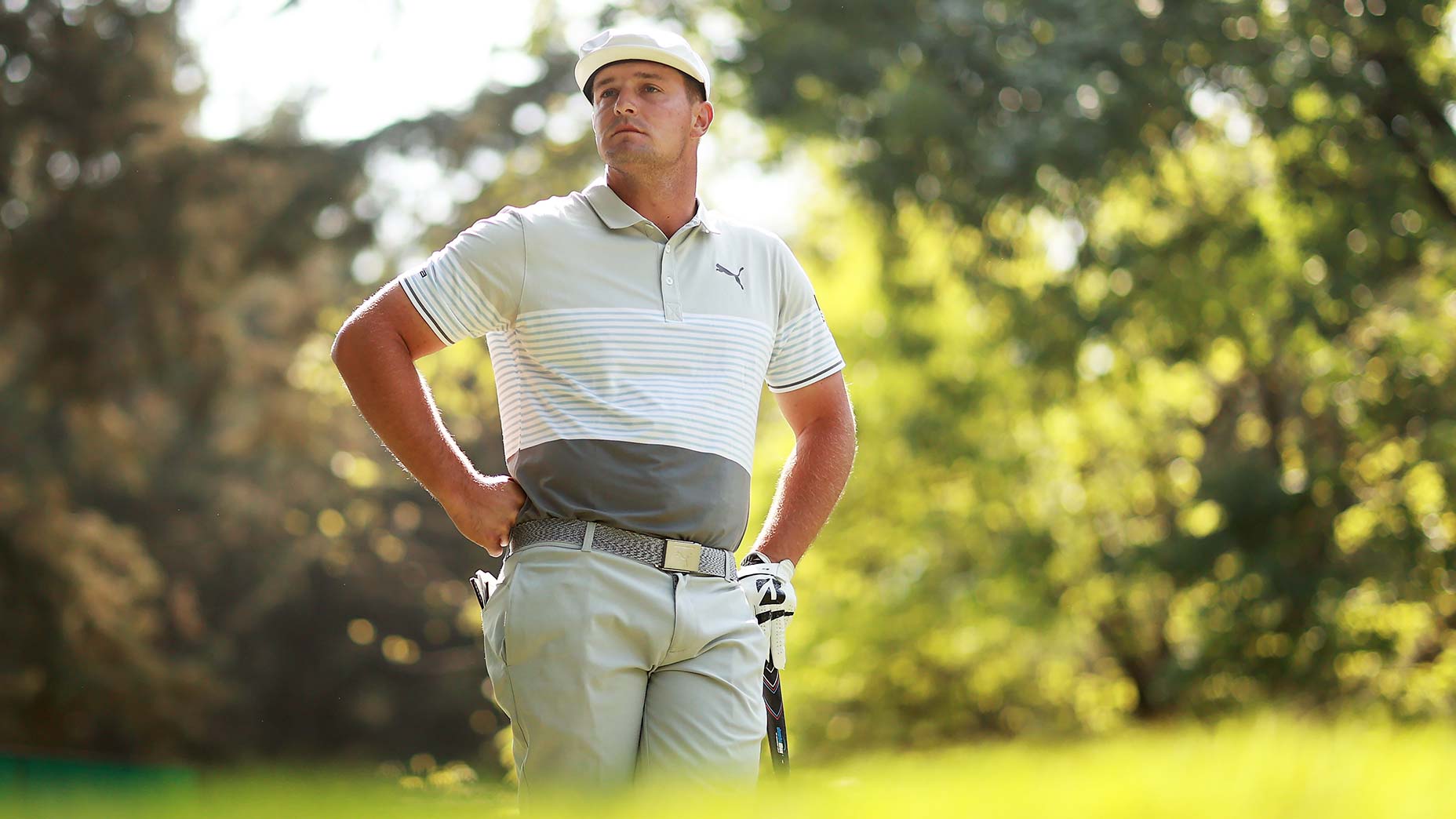 This is the protein powder Bryson DeChambeau used to get 'huge'