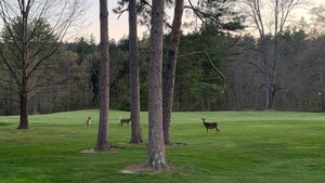 deer taconic golf club