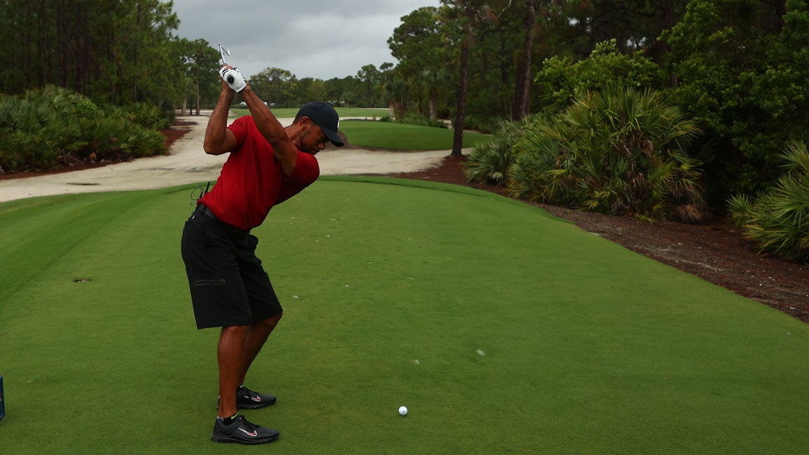 tiger golf shorts