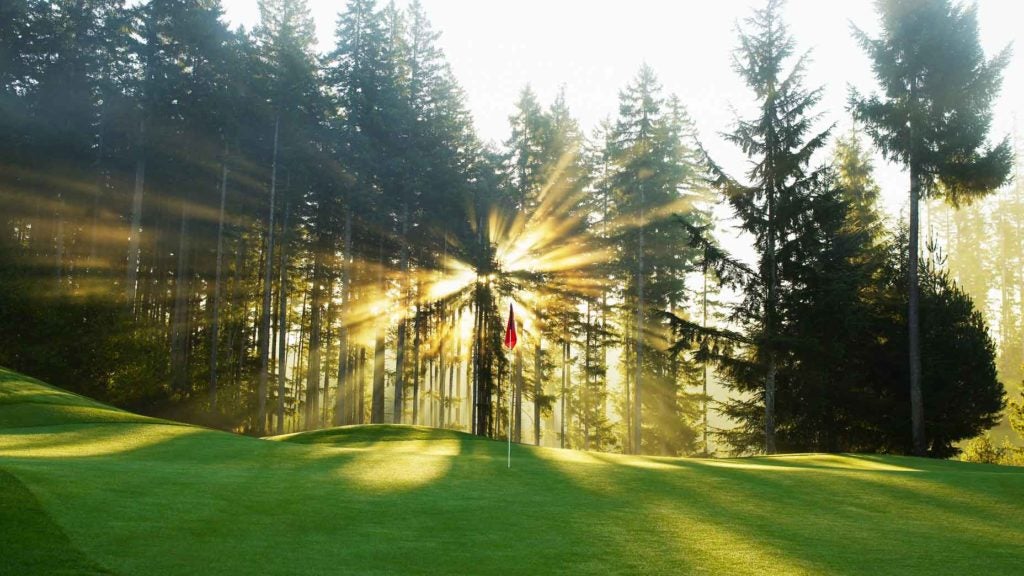 Sunrise through trees on golf green