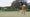 Pro golfer Rory McIlroy putts on golf green