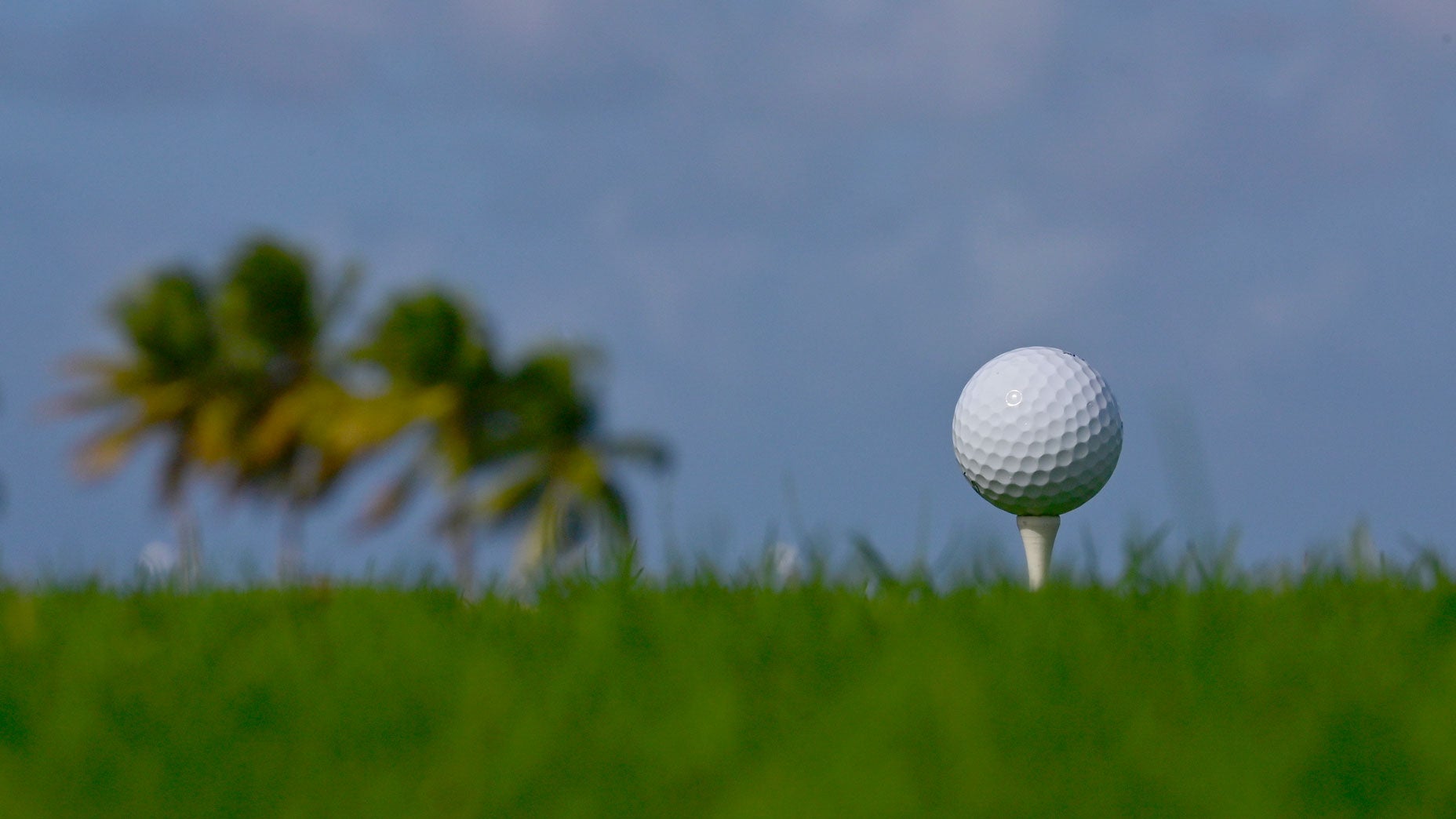 Why a humid day could help you off the tee, according to a meteorologist