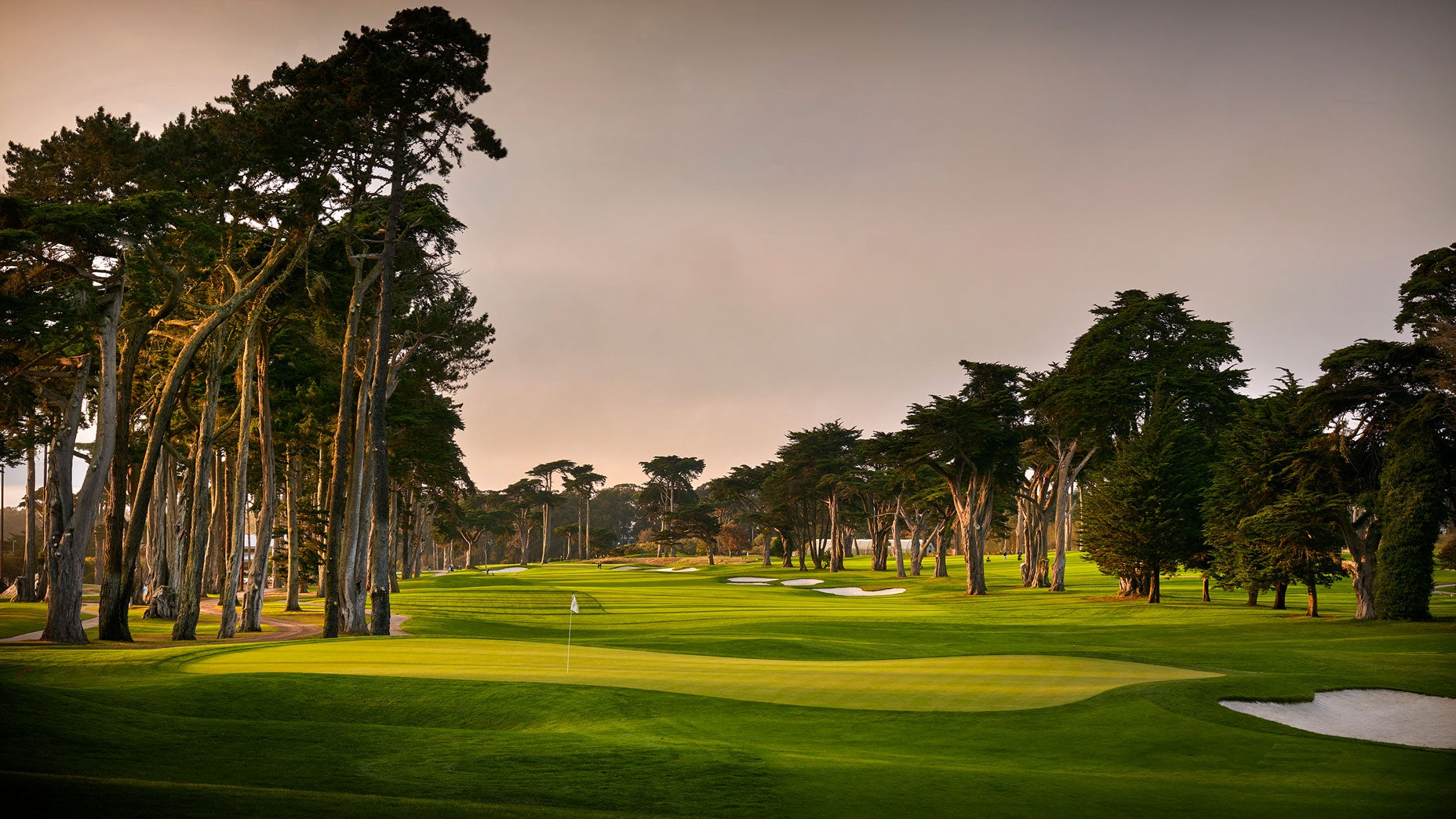Why this year's first major is setting up to be a brute at Harding Park