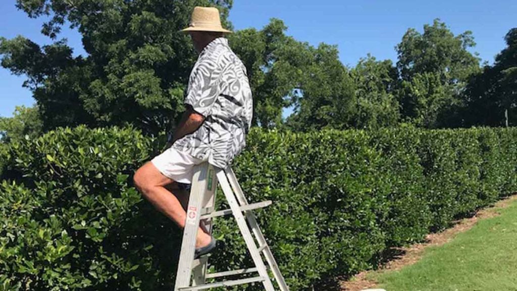 A fan watches from a ladder.