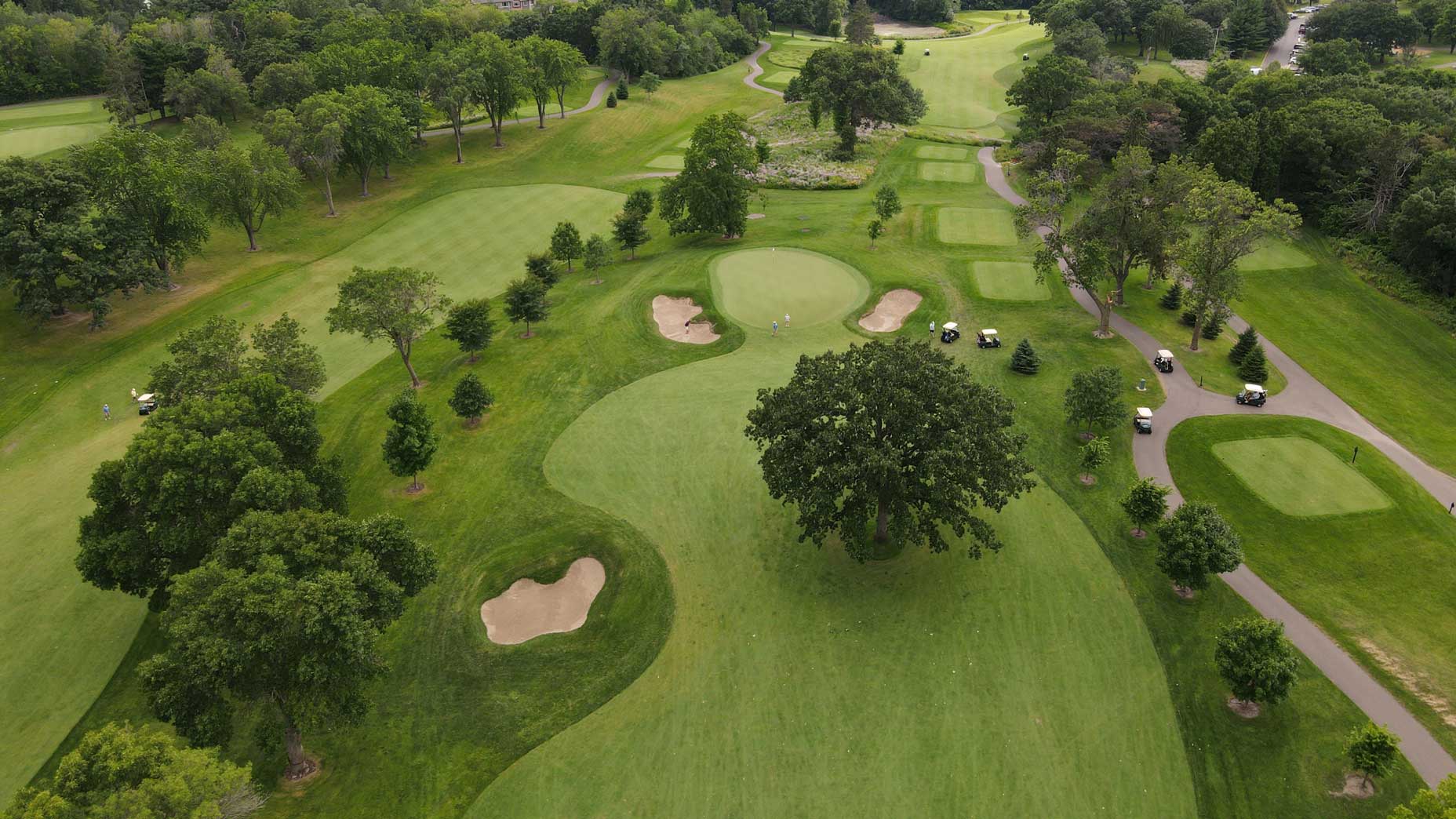 Are trees in the fairway — fair? This muni shows the right (and wrong) way