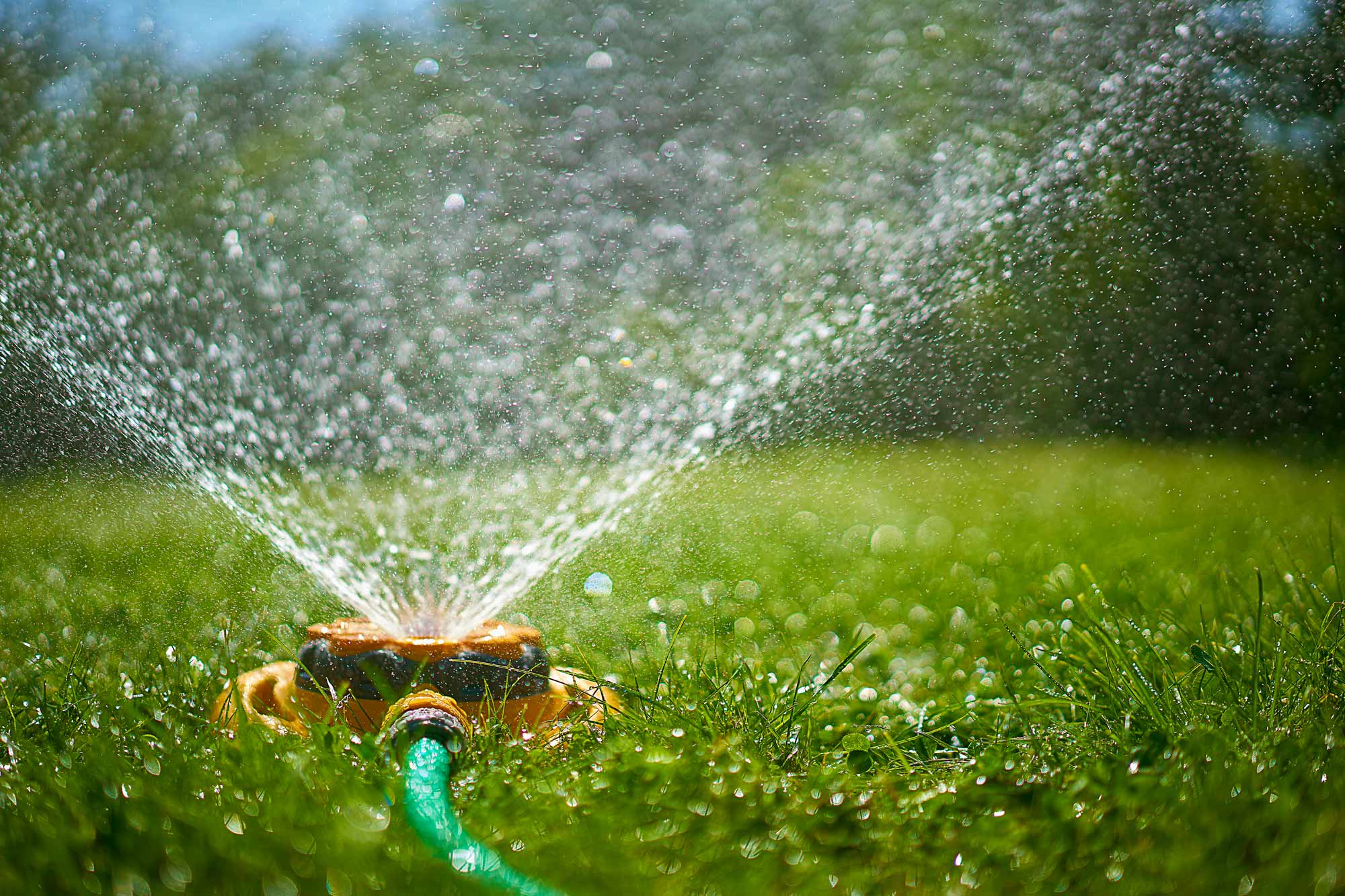 Lawn watering on sale