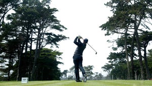 TPC Harding Park