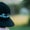 GOLF 2020 Fall Style Guide: 12 hats we love (that you will too)