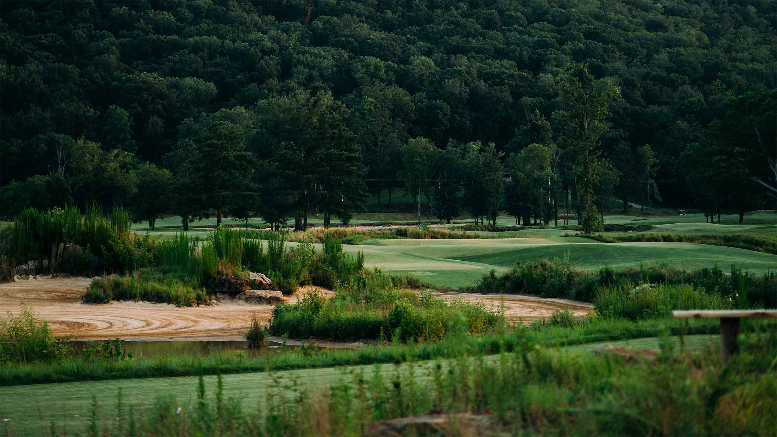 Sweetens Cove Golf Club in South Pittsburg, Tenn.