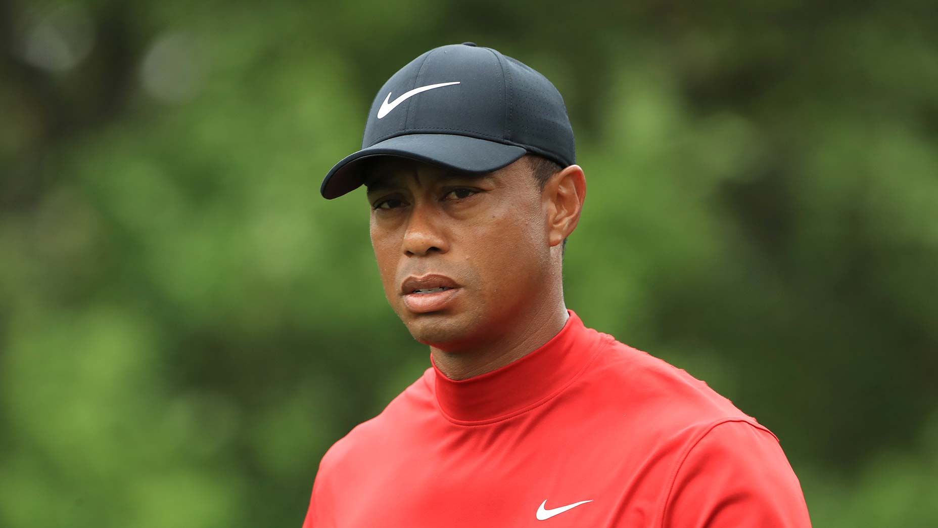 What it's like when Tiger Woods stares into your soul