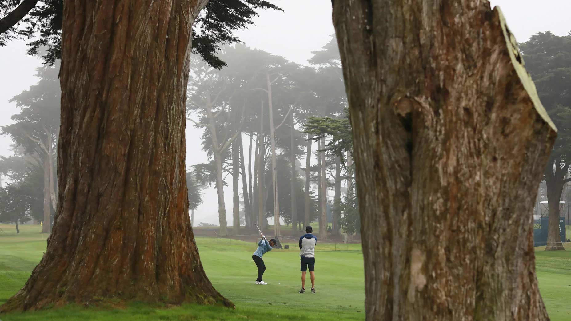 Pro golfer Tommy Fleetwood plays TPC Harding Park